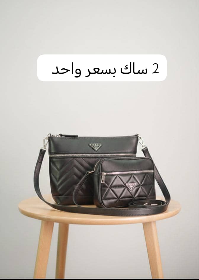 2 sacs a main prada